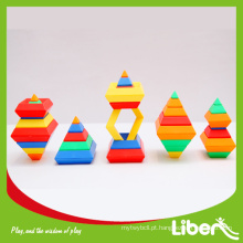 Pré-Escolar Educacional Blocos de Plástico Brinquedos LE.PD.013